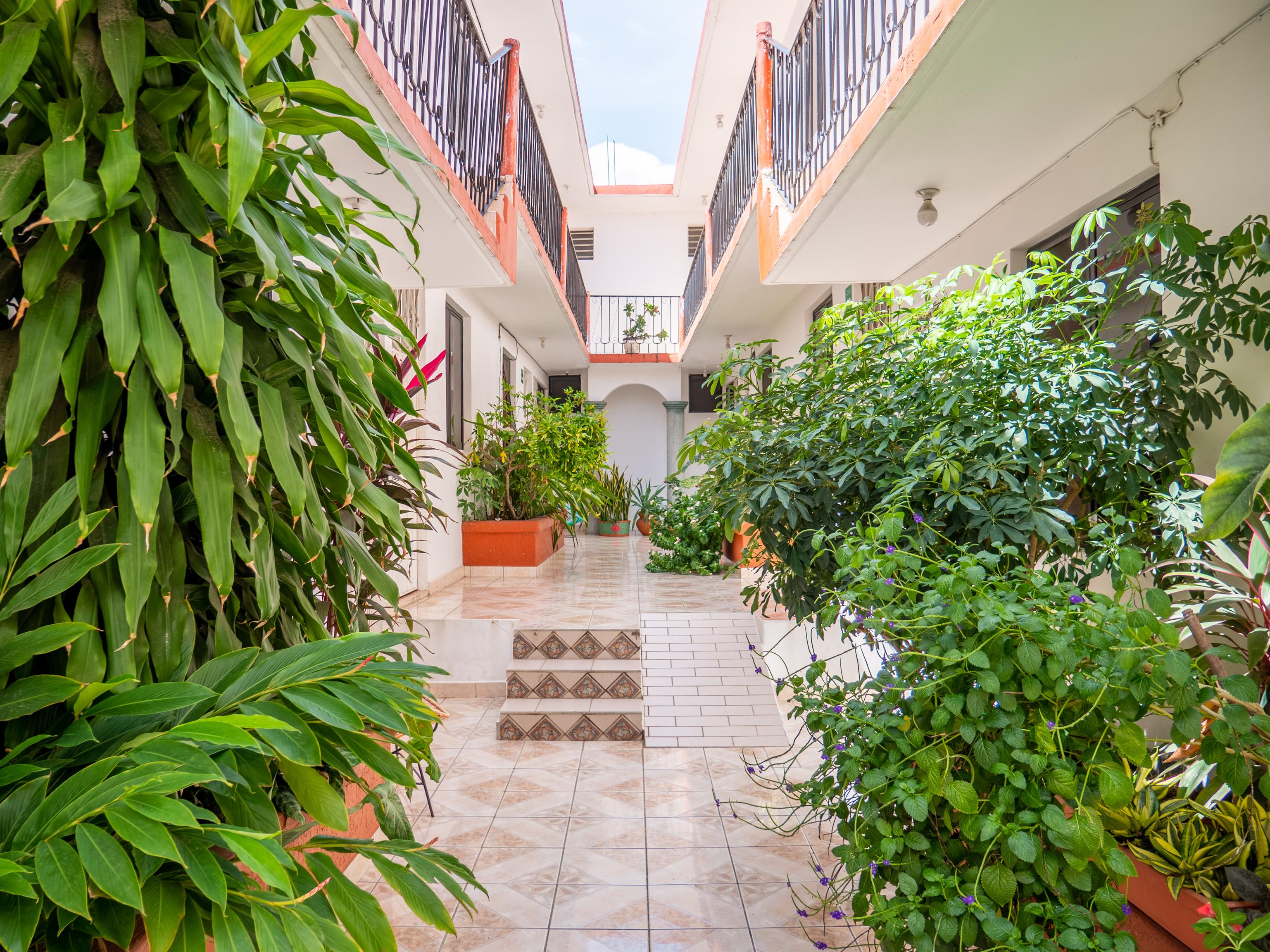 Oyo Hotel Arena Surf, Puerto Escondido Экстерьер фото